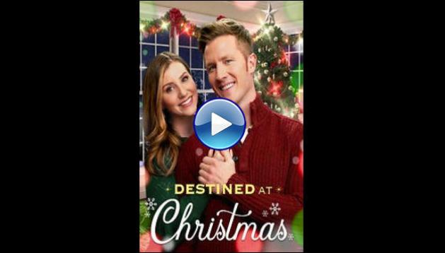 Watch Destined at Christmas (2022) Full Movie Online Free