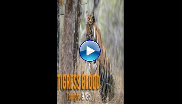 Discovery Channel-Tigress Blood (2014)