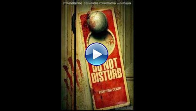 Do Not Disturb (2013)