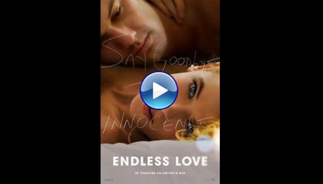 Endless Love (2014)