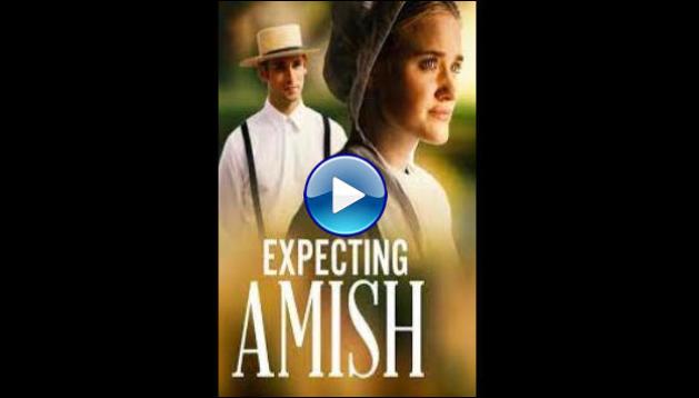 Expecting Amish (2014)