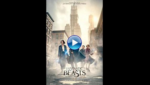 Fantastic Beasts and Where to Find Them (2016)