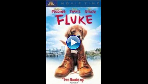 Fluke (1995)