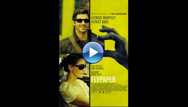 Flypaper (2011)