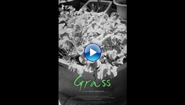 Grass (2018)