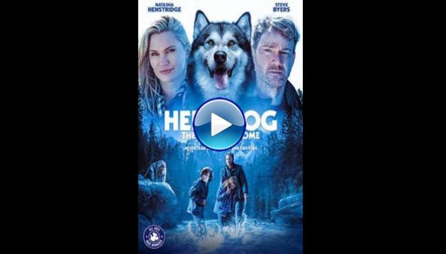 Hero Dog: The Journey Home (2021)