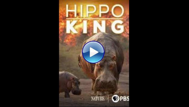 Hippo King (2022)