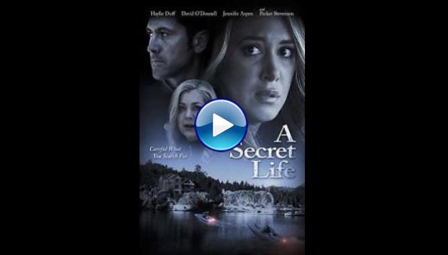 His Secret Family (2015)