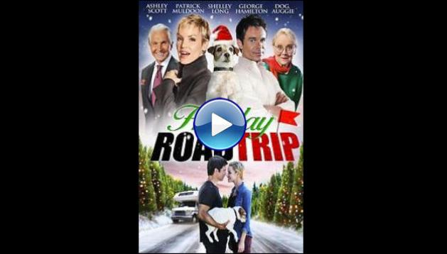 Holiday Road Trip (2013)