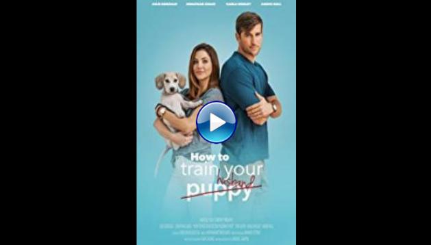 How to Train Your Husband or (How to Pick Your Second Husband First) (2018)