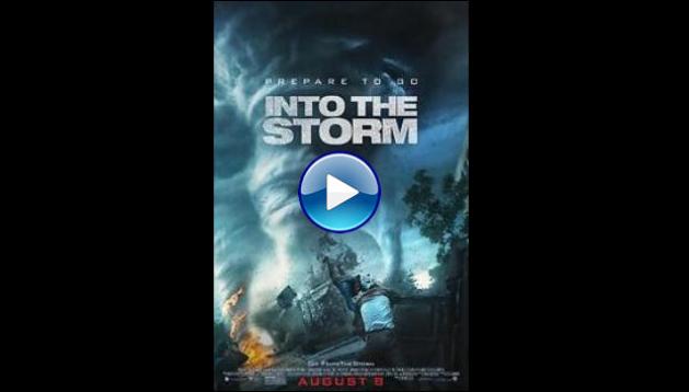 Into the Storm (2014)