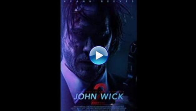 John Wick: Chapter 2 (2017)