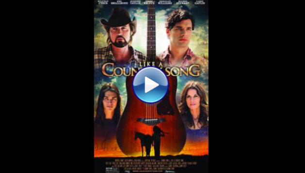 Like a Country Song (2014)