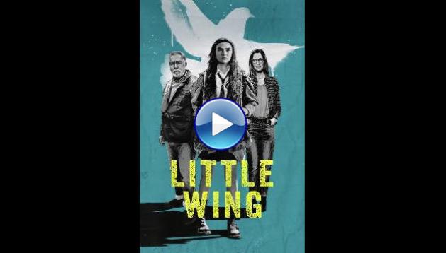 Little Wing (2024)