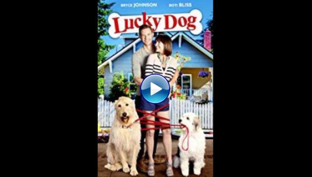 Lucky Dog (2014)