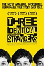 Three Identical Strangers (2018)