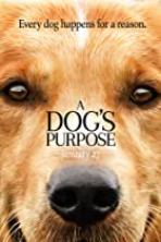 A Dog's Purpose (2017)