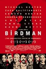 Birdman or (The Unexpected Virtue of Ignorance) (2014)