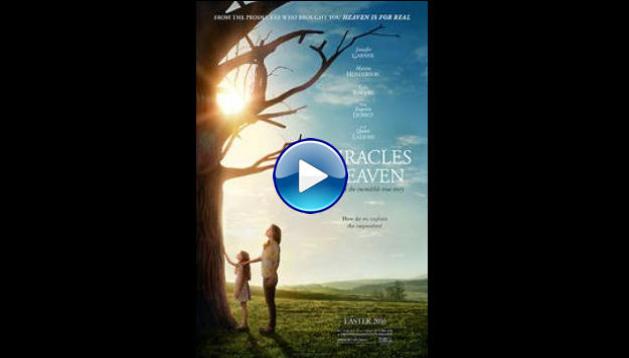 Miracles from Heaven (2016)