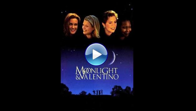 Moonlight and Valentino (1995)