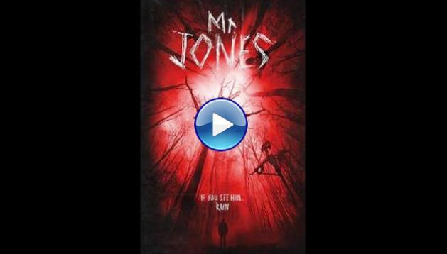 Mr. Jones (2013)