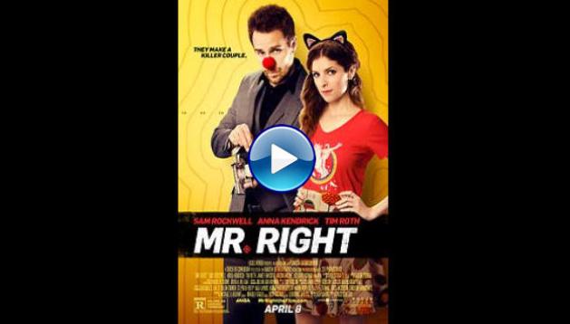 Mr. Right (2015)