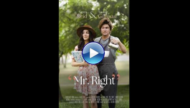 Mr. Right (2023)