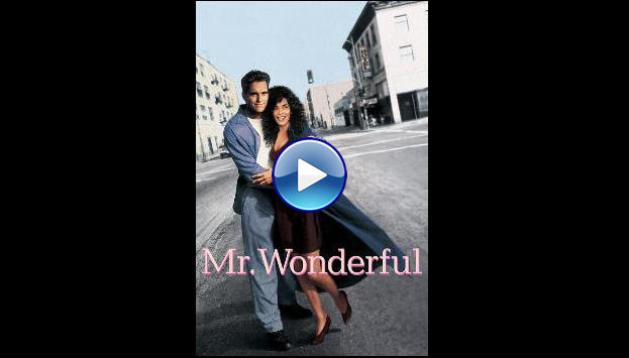 Mr. Wonderful (1993)