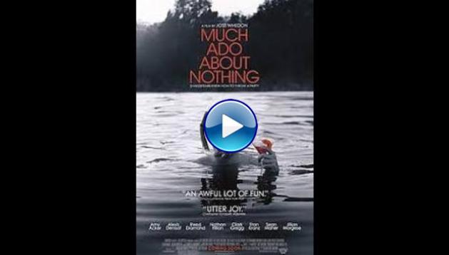 Much Ado About Nothing (2013)