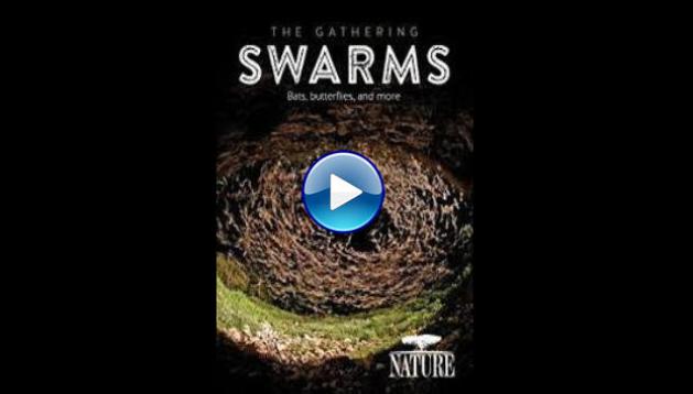 Nature The Gathering Swarms (2014)