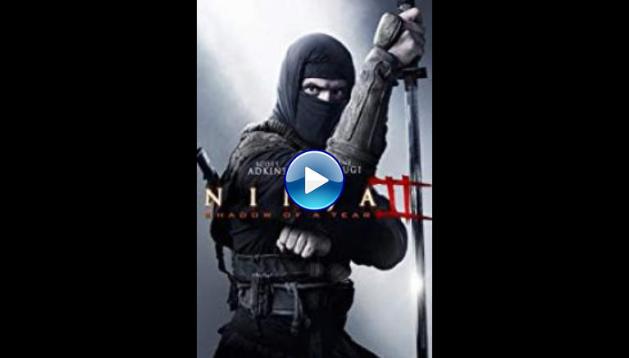 Ninja: Shadow of a Tear (2013)