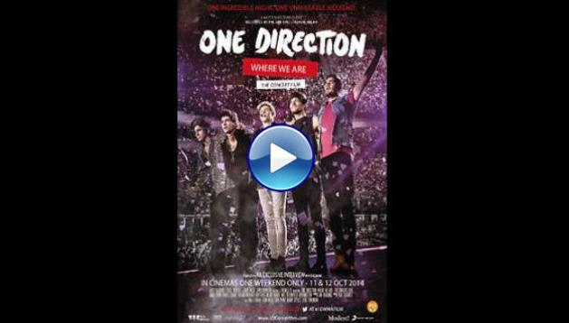 One Direction: Where We Are - The Concert Film (2014)