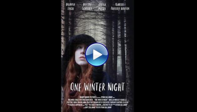 One Winter Night (2019)