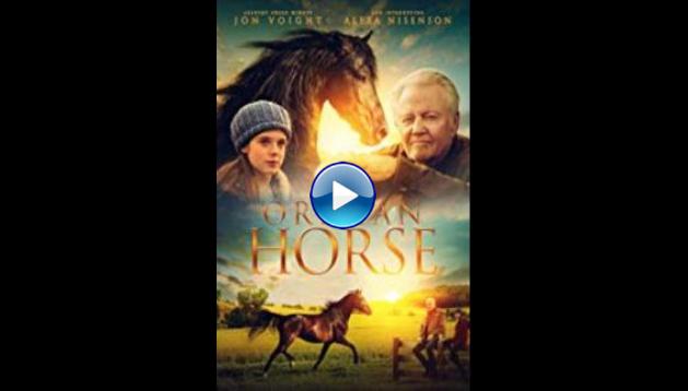 Orphan Horse (2018)