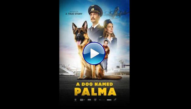 Palma (2021) HD  Full Movie Watch Online Free