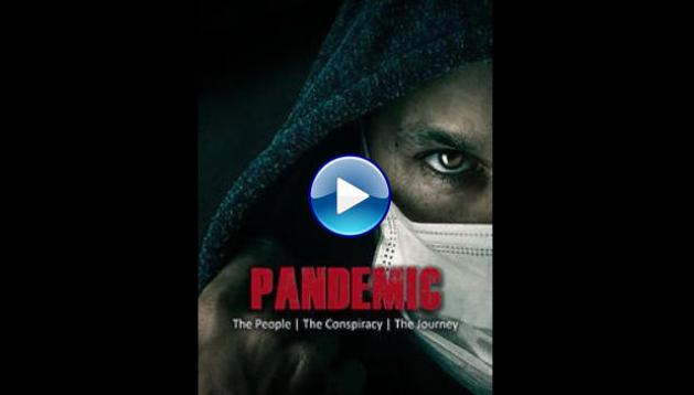 Pandemic: the people, the conspiracy, the journey (2020)