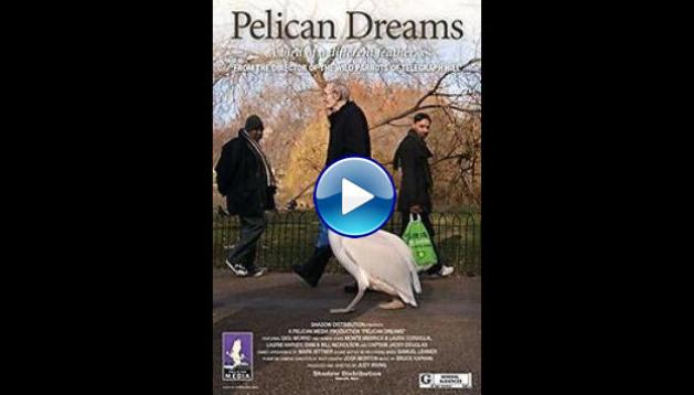 Pelican Dreams (2014)