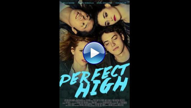 Perfect High (2015)