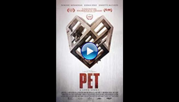 Pet (2016)