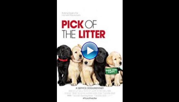 Pick of the Litter (2018)