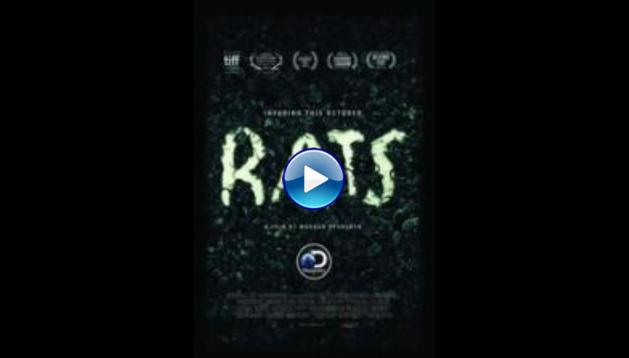 Rats (2016)