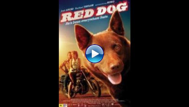 Red Dog (2011)