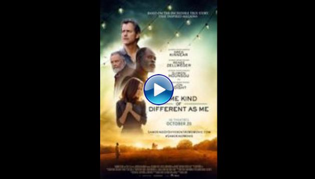 Same Kind of Different as Me (2017)