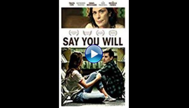 Say You Will (2017)