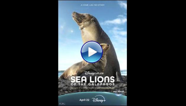 Sea Lions of the Galapagos (2025)