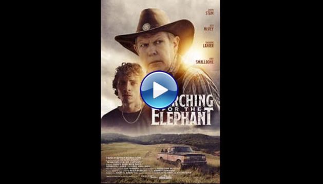 Searching for the Elephant (2024)