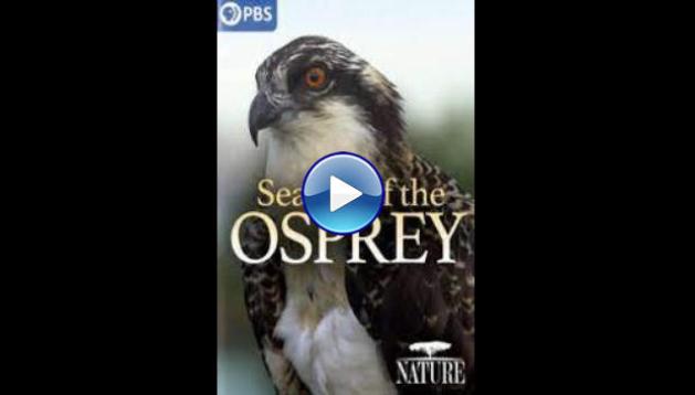 Season of the Osprey (2021)