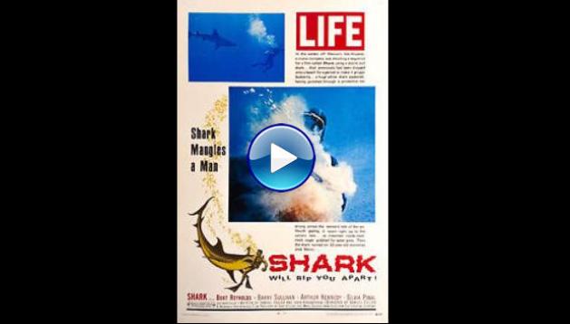 Shark (1969)