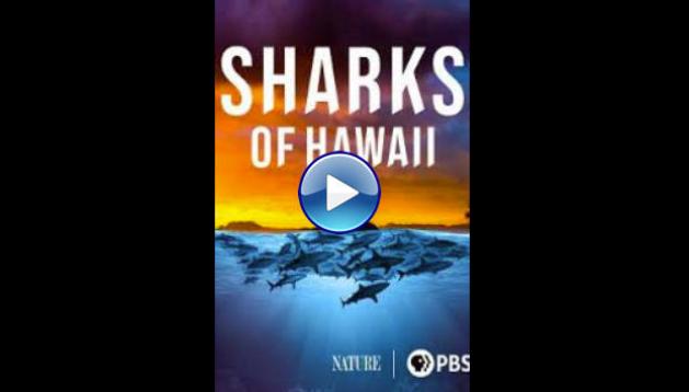 Sharks of Hawaii (2021)