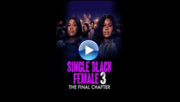 Single Black Female 3: The Final Chapter (2025)